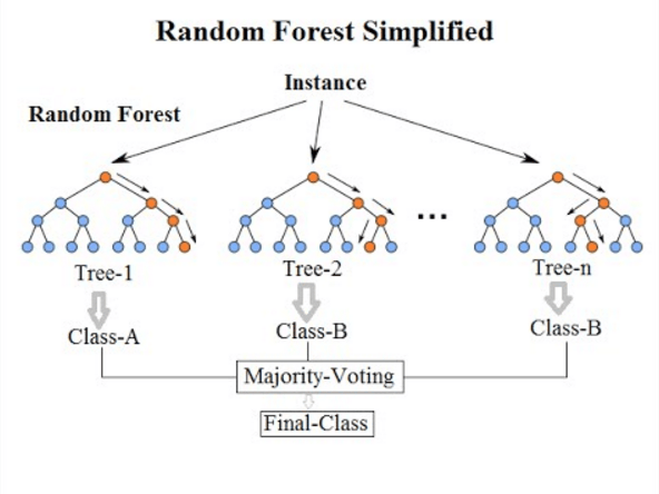 Algoritmos de aprendizaje automático -Random Forest