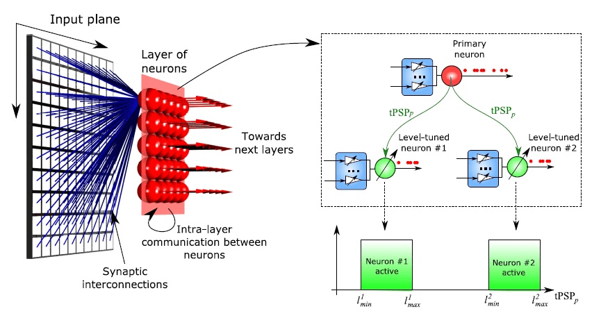 Que es la computación neuromórfica - Chip Neuromorfico