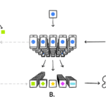 FederatedLearning_FinalFiles_Flow Chart1
